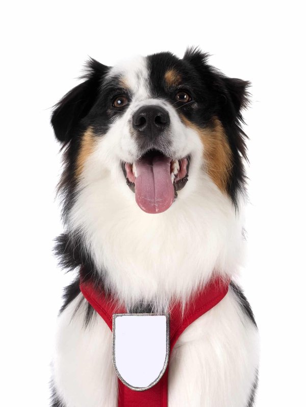 Quelles méthodes peut-on utiliser pour personnaliser les gobelets en carton ?